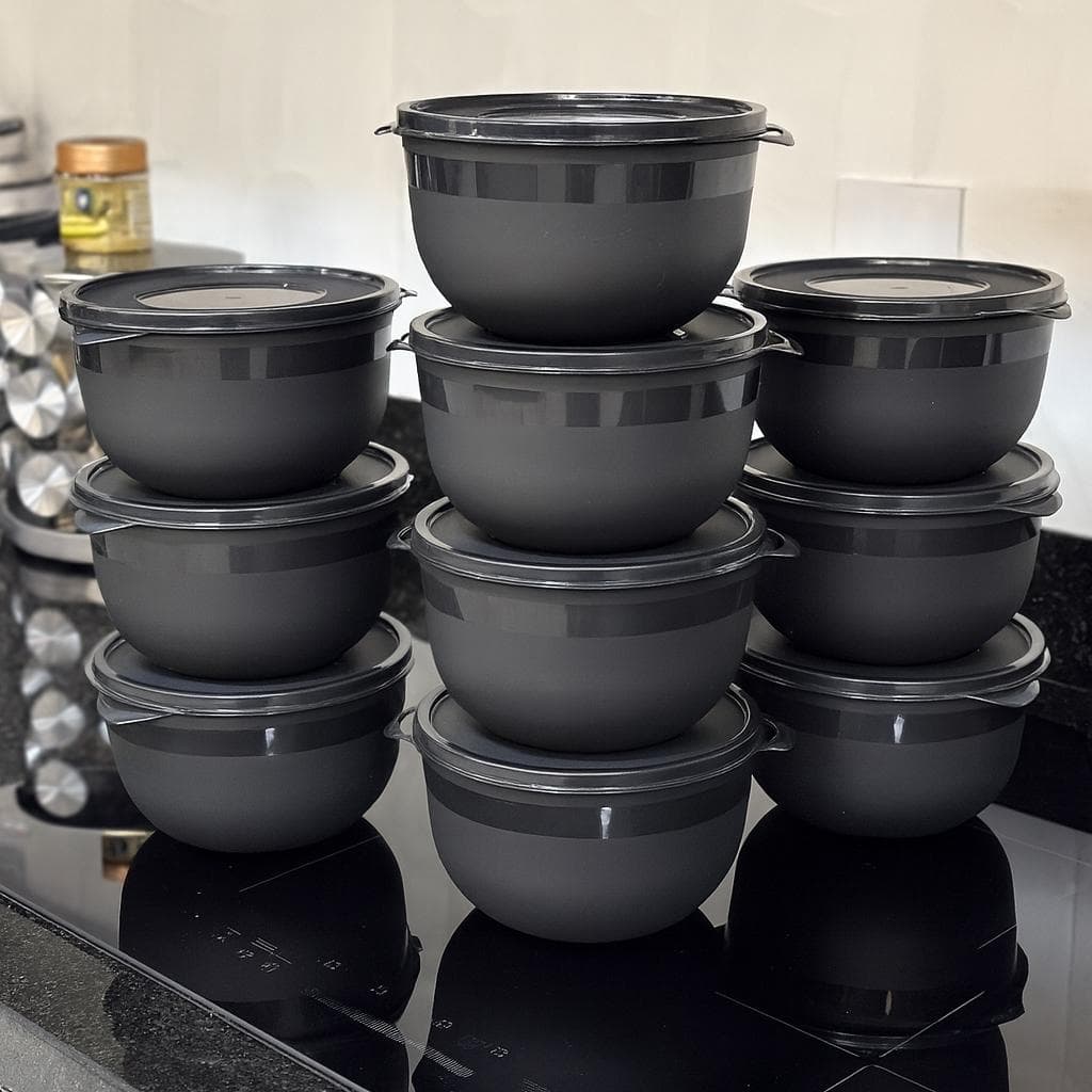Kit 10 Potes Bowl 1300ml Plástico com Tampa
